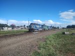 RUMO 9871